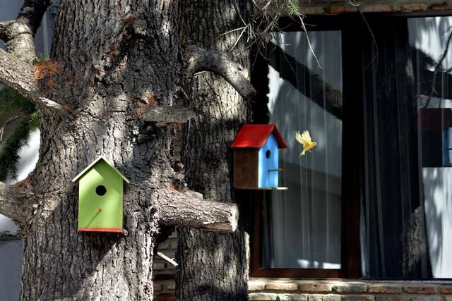 Отель Tiflis Hotel Тбилиси-14