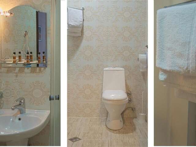 Отель Tiflis Hotel Тбилиси-61